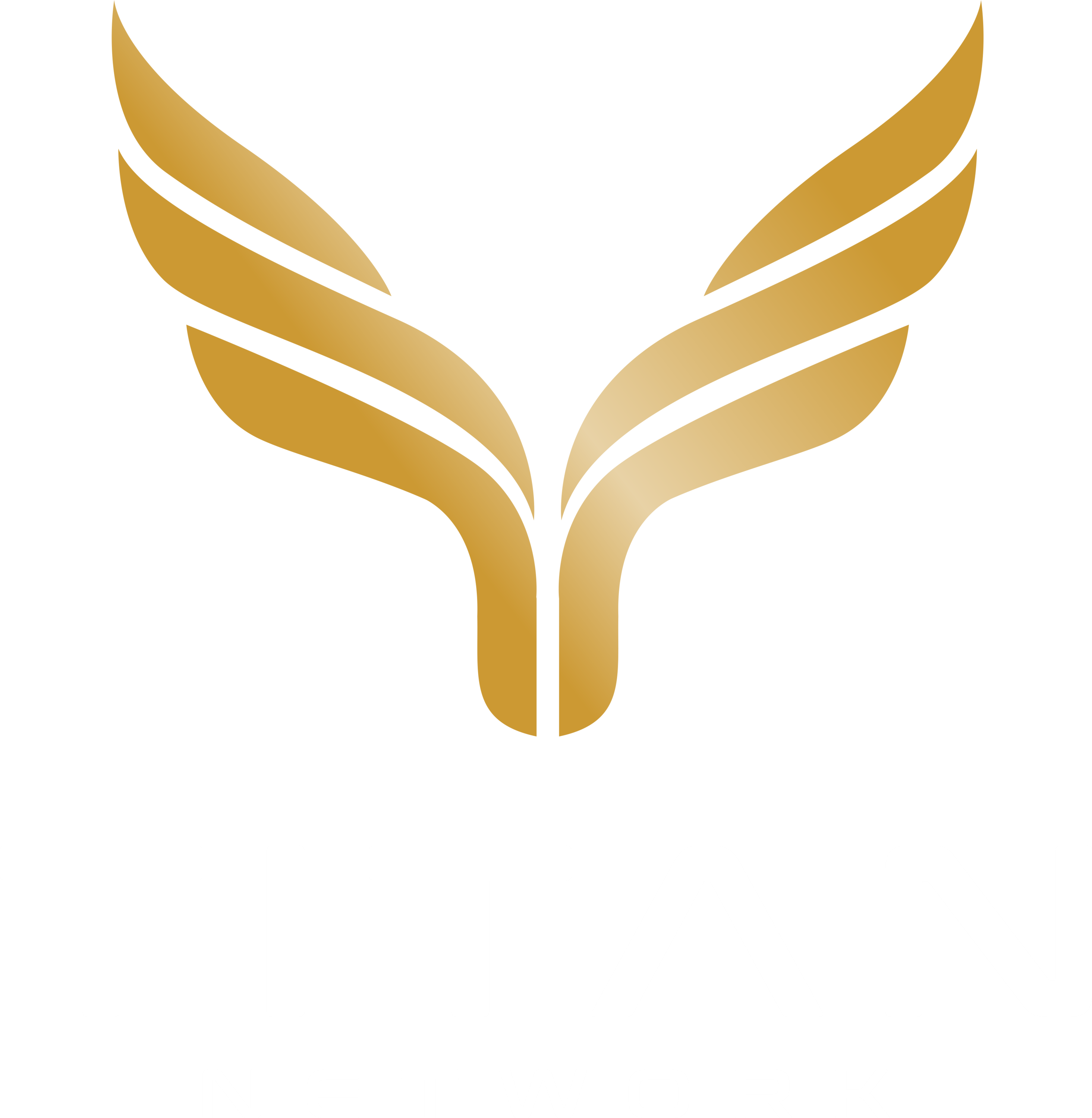 Titan Network