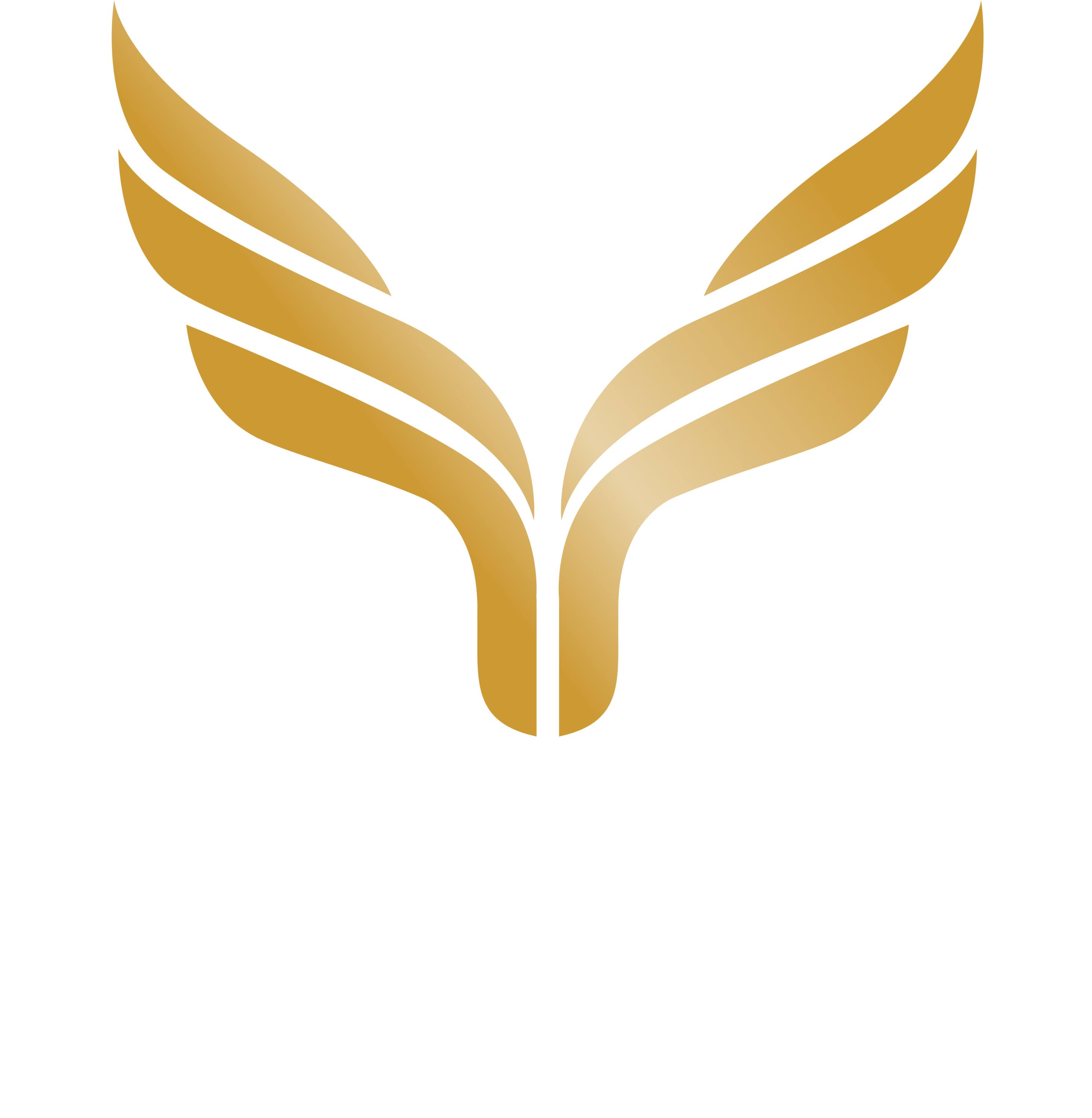 Titan Network
